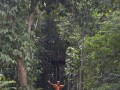 Tn DSC 4324